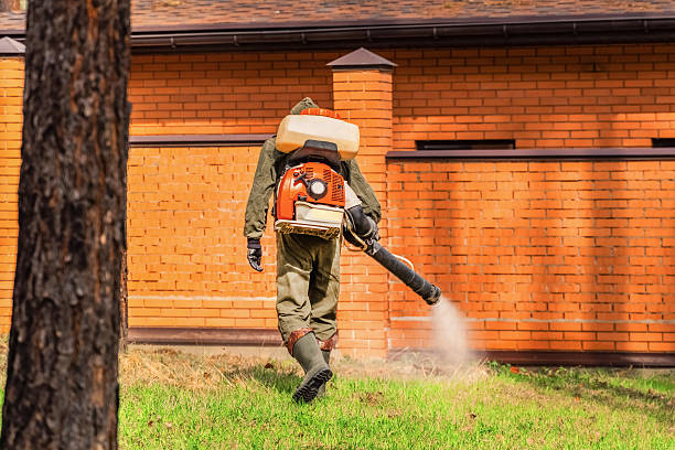 Trusted Termite Control service in Walnut Cove, NC - Nex Pest Control